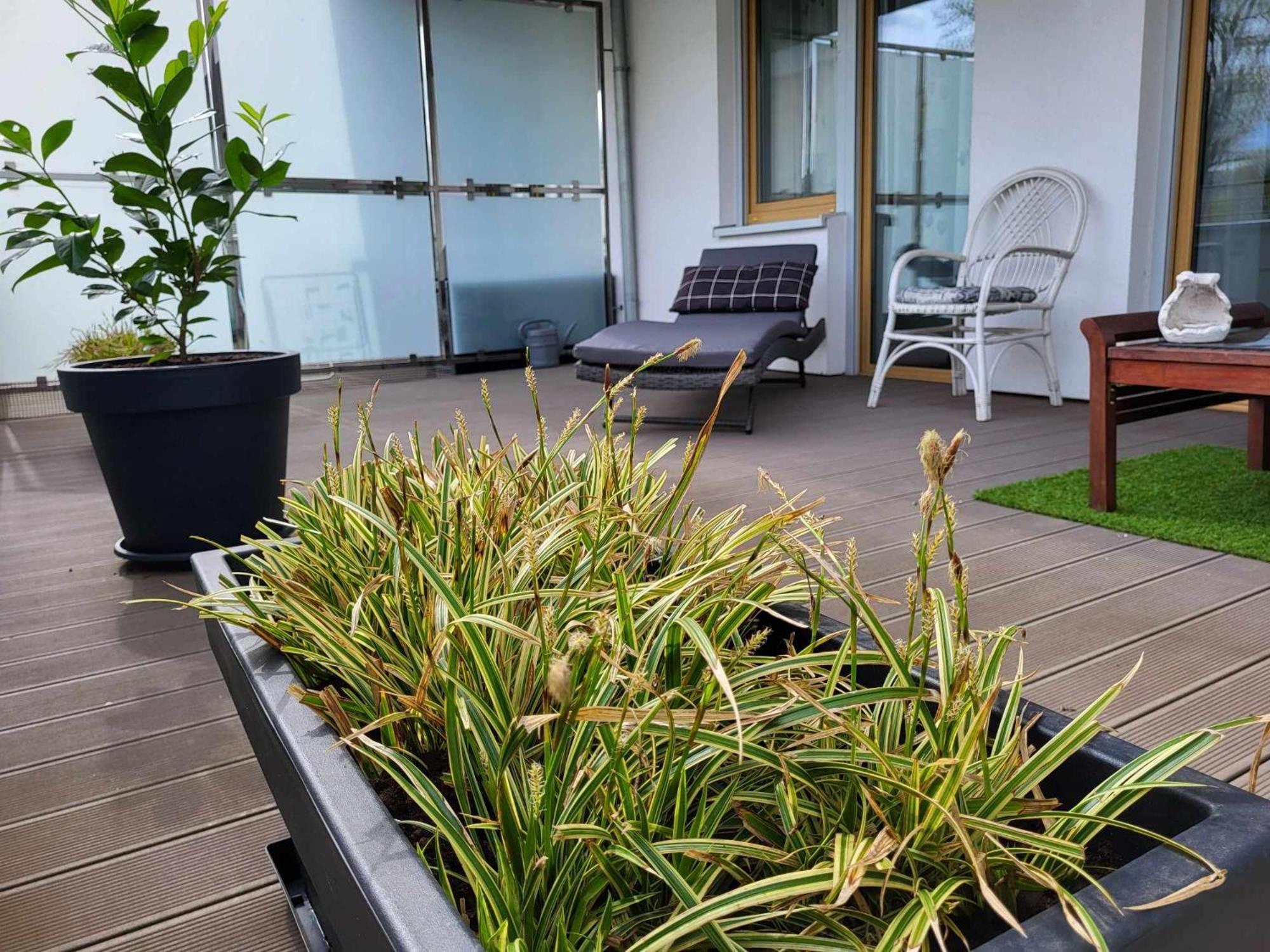 Miodowy Dom Exspanse Apartament 2 Lub 3 Pokoje Z Tarasem I Parkingiem Kołobrzeg Exterior foto